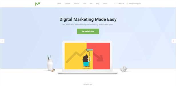 Marketing Pro